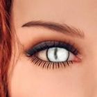 Olhos de gato
