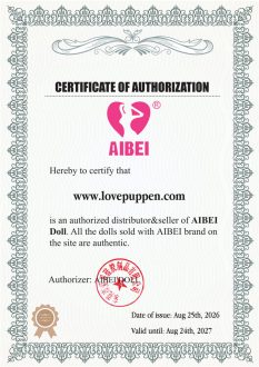 Certificato di autorizzazione del marchio AIBEI DOLL